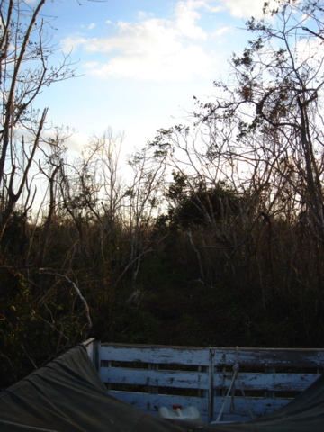 dsc00477.jpg